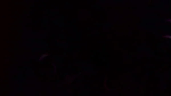 De vacaciones con la compañera de trabajo